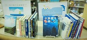 画像：図書館実習1