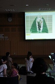 画像:マルチメディアデイジー上映の様子