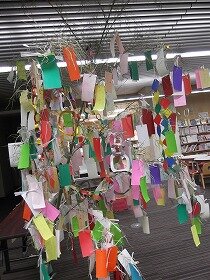 画像:最終日の短冊がたくさん吊るされた笹