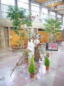 画像：会場となった江坂花とみどりの情報センターに置かれたクリスマスツリー。
