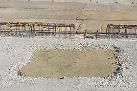 画像：四角形の土の部分は、木が植えられるスペースです。