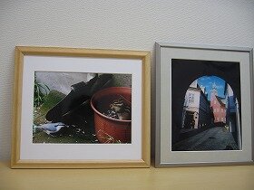 画像：動物写真1枚と風景写真1枚