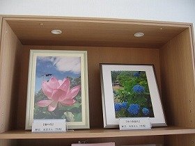 画像：蓮の花写真と紫陽花の写真