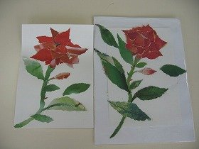 画像：完成したバラのちぎり絵。