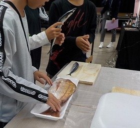 写真2： 参加者が、真鯛とさんまを触っている様子。