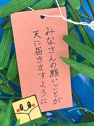 画像：すいぽんの願いごと