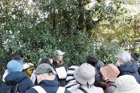 写真1：キンモクセイの木について説明している講師