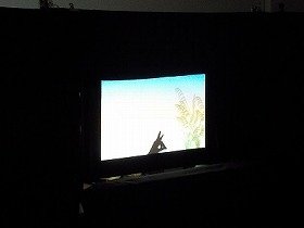 写真3：影絵クイズの様子