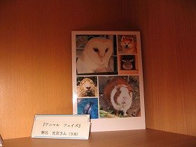 アニマルフェイズ（動物の顔を集めた写真）の画像