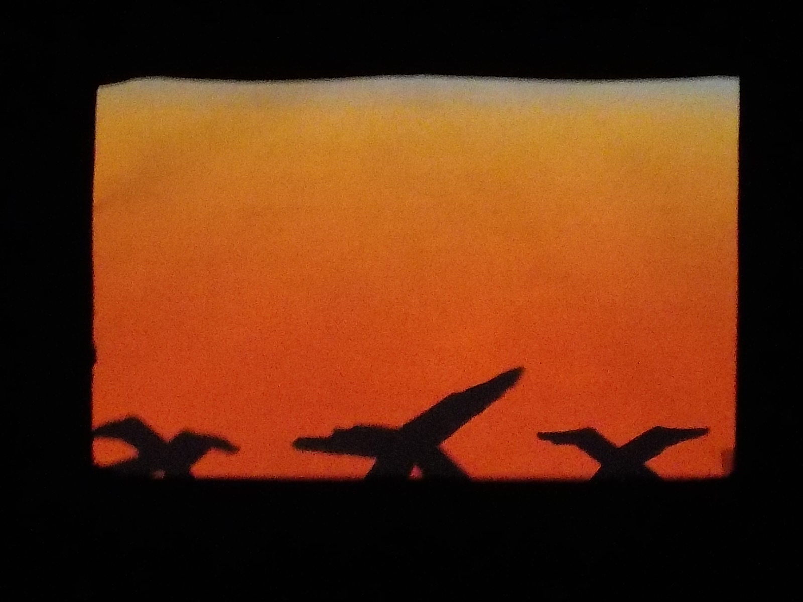 画像1：影絵「てぶくろ」の様子