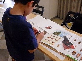 写真3　セミを作る様子。