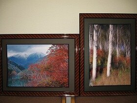 山と紅葉の写真と白樺の写真
