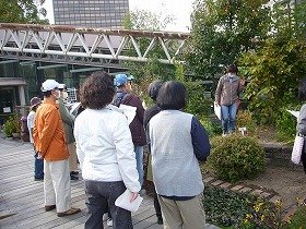 インナーガーデンで食虫植物を観察する参加者と講師。
