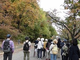 写真2：柿の木にいるメジロを探す講師と参加者の写真