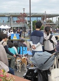 画像　公園内の空の下で青空えほんのじかんをしている様子。