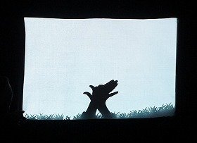 写真4　手かげえ