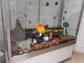 写真　ガラスケースに展示したぬいぐるみとハロウィン装飾