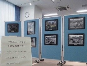 ミニ写真展