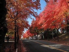 三色彩道の画像