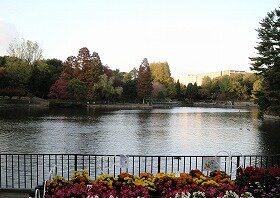 千里南公園の牛首が池の画像